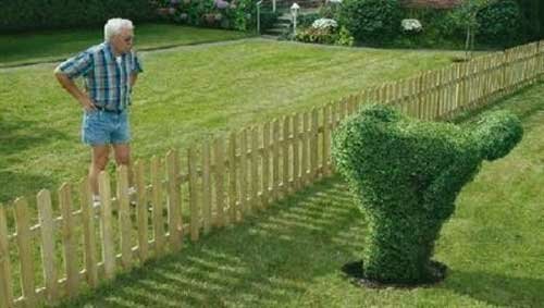 Neighbor moon